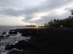 You`re almost guaranteed to see turtles at least once during your stay Hawaiian green sea turtles and the endangered hawksbill sea turtles like to feed near the shore here, and bask in the sun on the black sand.
